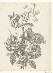 Bouquet avec pivoines, une tulipe et une brodiaea (Diverses Fleurs mises en Boucquets)
