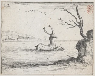 Un cerf dans l
