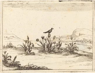 Oiseau Perché sur un Chardon
