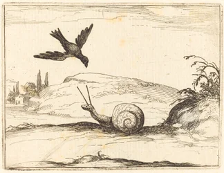 Corbeau et escargot