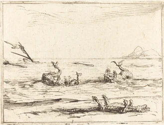 Dauphins et crocodile