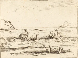 Dauphins et crocodile