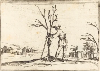 Jardinier taillant un arbre