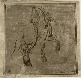 Cheval vu de trois quarts de dos