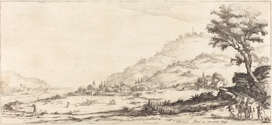 Chasse aux oiseaux
