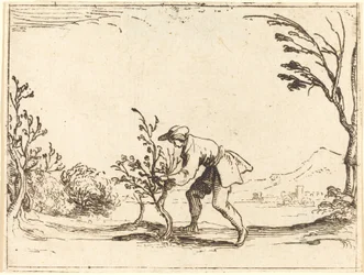 Homme coupant un arbre à baume