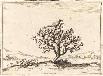 Rossignol dans un buisson, 1628