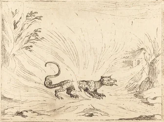 Salamandre entourée de flammes