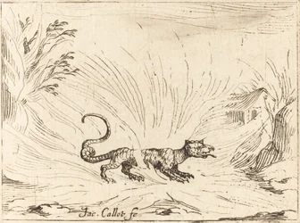 Salamandre entourée de flammes