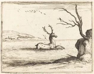 Cerf dans l