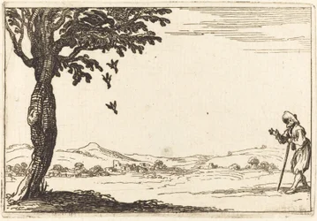 La corneille et ses petits