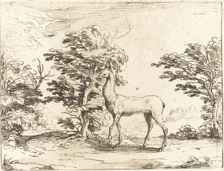 La Biche