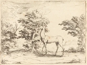 La Biche