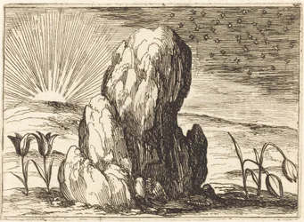 Les Tulipes et le Soleil (1628)