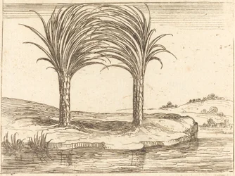 Deux palmiers