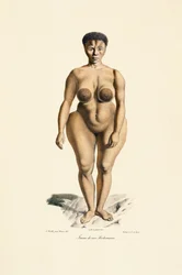 Boschman Race Woman Frontal View