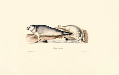 Sceau commun
