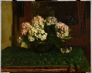 Hortensias (grande chaleur)