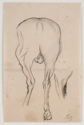 Cheval vu de dos et une jambe de cheval