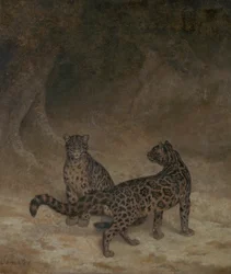 Léopards nébuleux, c.1825