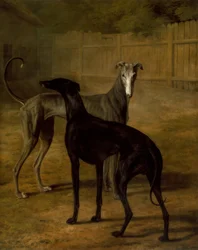 Rolla et Portia