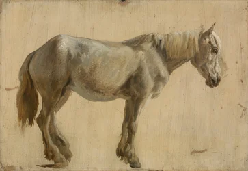 Étude d