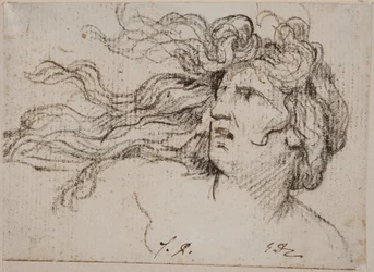 Tête de femme aux cheveux flottants