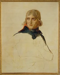 Napoléon Bonaparte ...