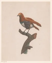 Oiseau sur une branche