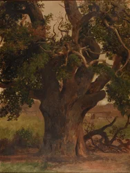 Le Vieux chêne (étude)