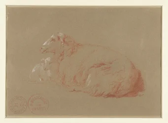 Mouton couché avec agneau
