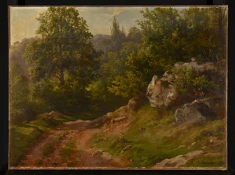 Paysage forestier