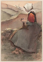 Fleur de Lande