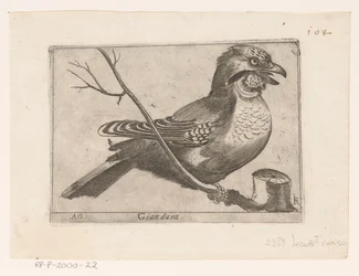Geai des chênes (Garrulus glandarius)