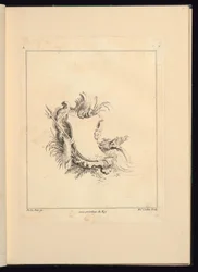 Conception pour une cartouche évoquant la mer