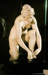 Le Tireur d