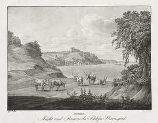 Syrmie, marché et ruines du château de Sharengrad