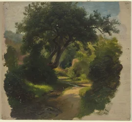 Chemin forestier