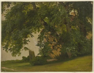 Maison derrière les arbres