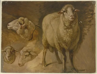 Moutons