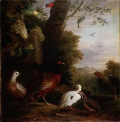 Oiseaux dans un Paysage