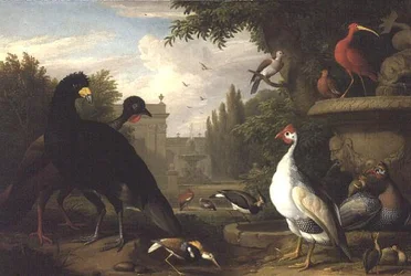 Oiseaux exotiques dans un jardin ornemental