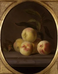 Nature morte de fruits avec une mouche