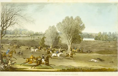Chasse à courre - Vue du parc de Hatfield (gravé par James Pollard)
