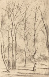 Le Bois du barrage, 1875
