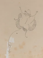 Le papillon de Whistler, 1886