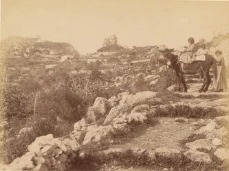 Capri [enfant sur une mule]