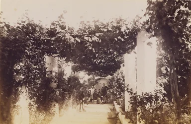 Jardin - Capri