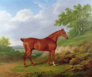 Chasseur de châtaignes dans un paysage