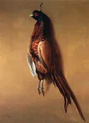 Faisan suspendu, 1822